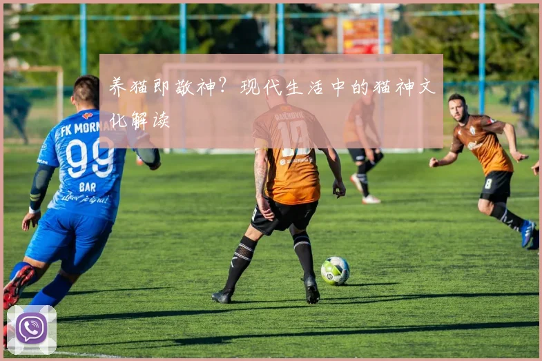 养猫即敬神？现代生活中的猫神文化解读