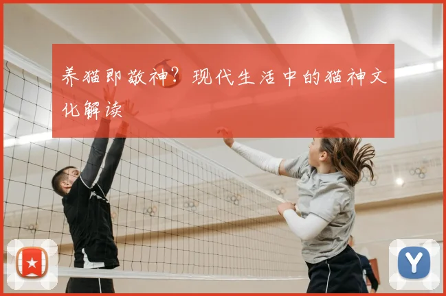 养猫即敬神？现代生活中的猫神文化解读